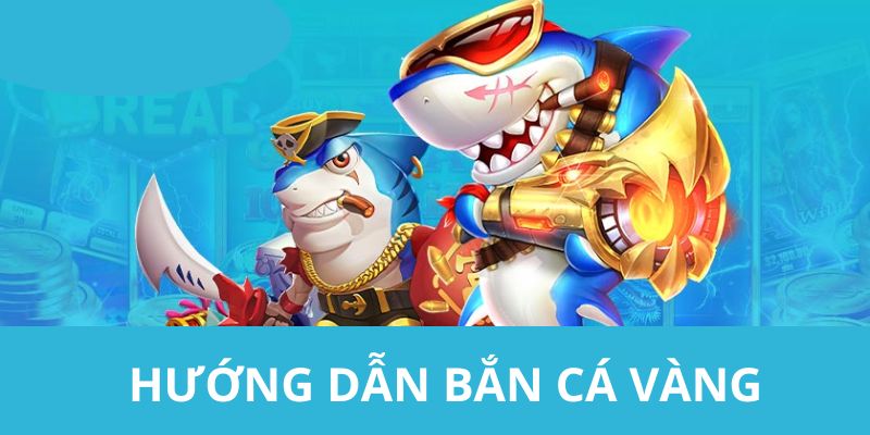 Chi tiết các thao tác tham gia săn cá tại hệ thống cho hội viên